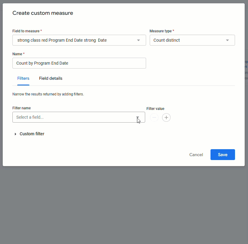custom measure on a custom field_add filter.gif